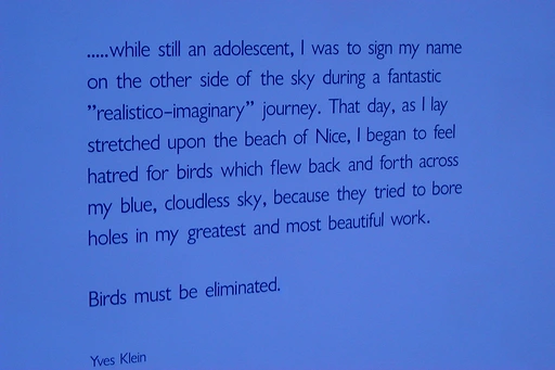birds must be eliminated - Yves Klein