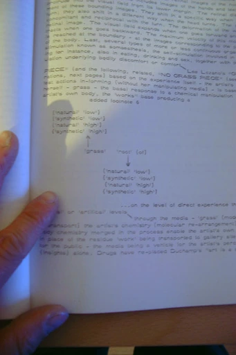 book.3171.burofriedrich_lozano_popup_5736.webp