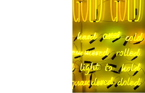book.4046.goldr.webp
