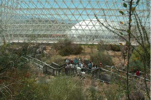 book.5006.2006biosp1.webp