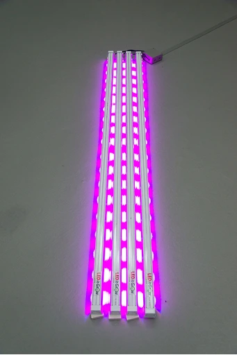 book.5156.2015714makfuturelightmurell8small.webp