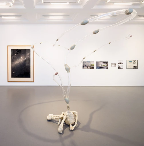 Martin Schwenk, Thomas Ruff, Bik Van der Pol, Haus-Rucker- Co